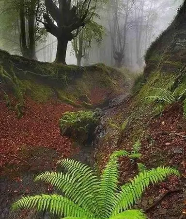 Hyggelig - Goettingen Harz Duderstadt *