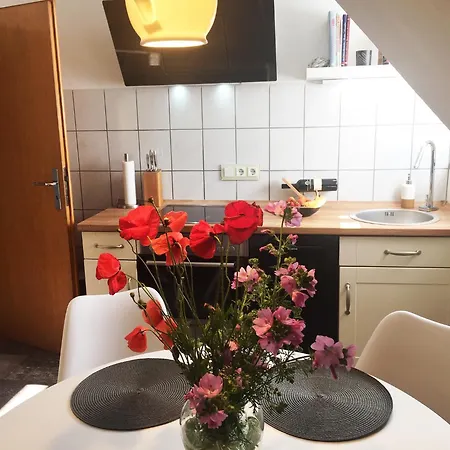 Hyggelig - Goettingen Harz Duderstadt Apartment *